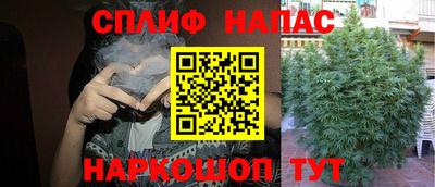 прущие грибы Тара