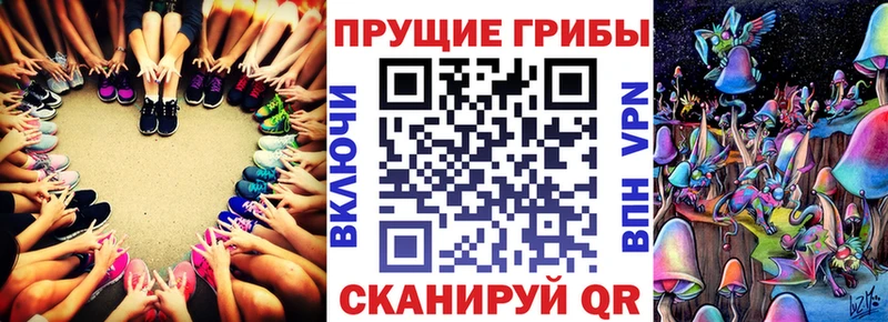 купить наркоту Новошахтинск Галлюциногенные грибы Cubensis