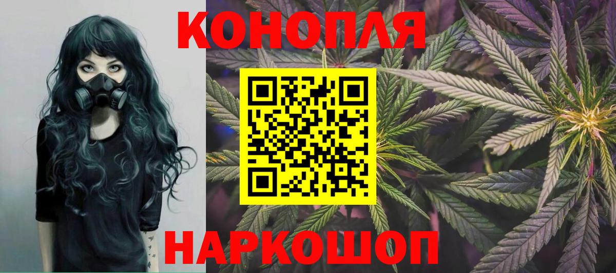 Каннабис OG Kush Новошахтинск